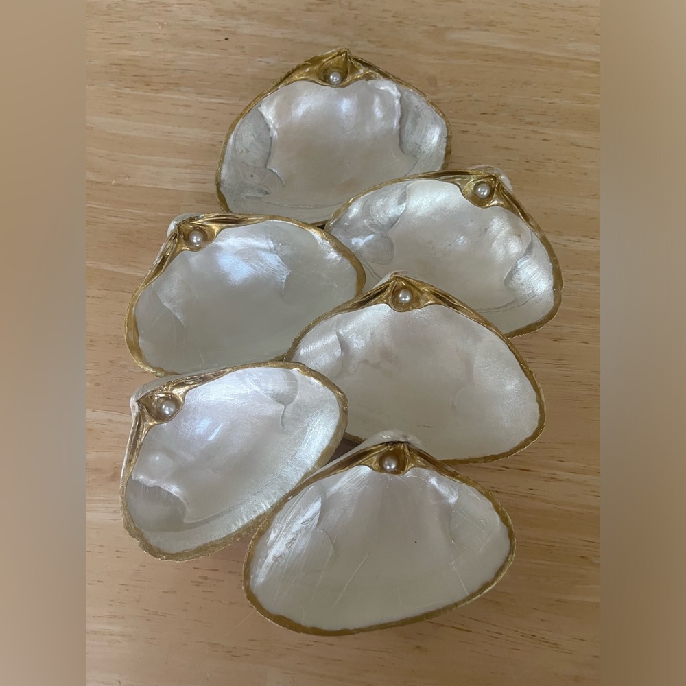 🌻6-Pearl painted shells
